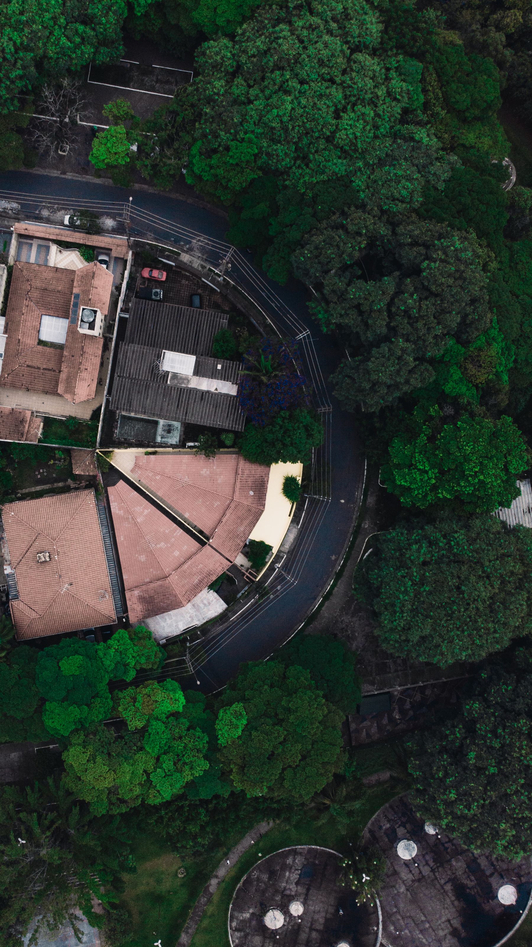 Aerial view of a curving suburban crescent street with varied rooflines and mature trees